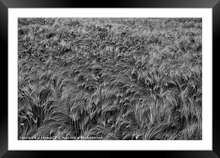 windswept Framed Mounted Print by Jo Beerens