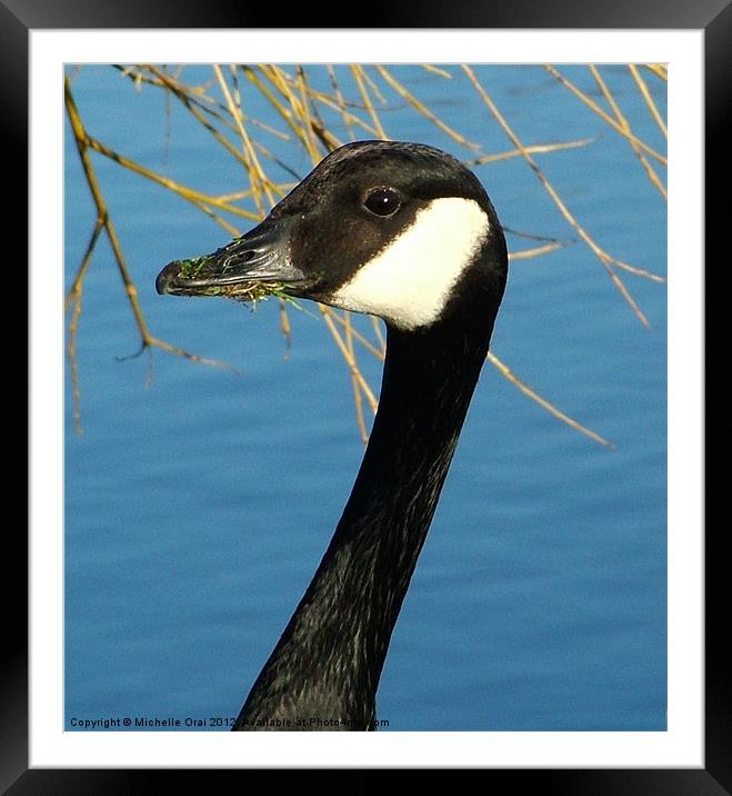 What a mouthful Framed Mounted Print by Michelle Orai