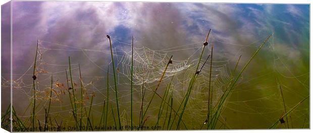 Early Morning Spiders' Webs Canvas Print by Michelle Orai