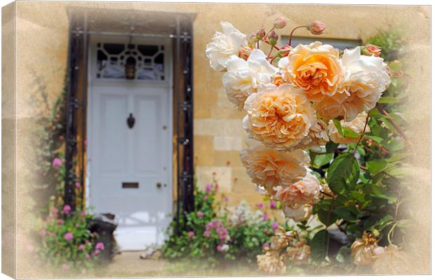Roses in a country garden Canvas Print by Andy Evans Photos