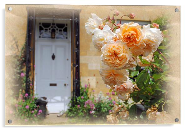 Roses in a country garden Acrylic by Andy Evans Photos