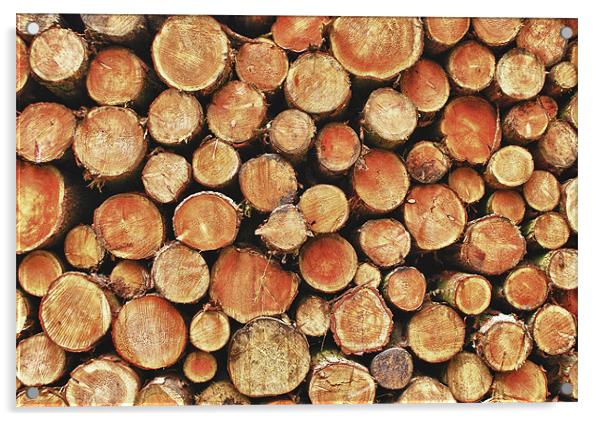 Logs and More Logs Acrylic by John Ellis