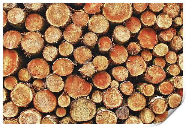 Logs and More Logs Print by John Ellis