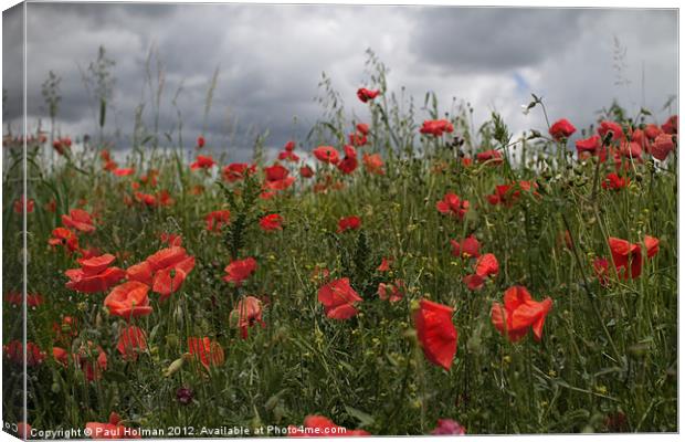 We Will Remember Canvas Print by Paul Holman Photography