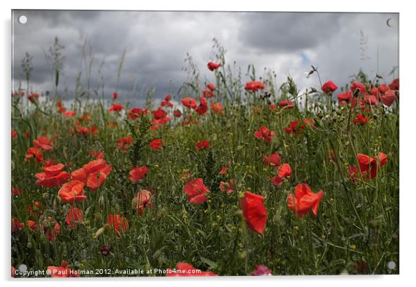 We Will Remember Acrylic by Paul Holman Photography