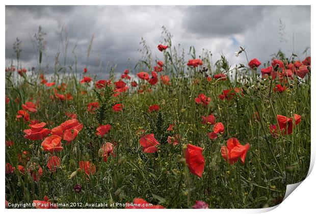 We Will Remember Print by Paul Holman Photography