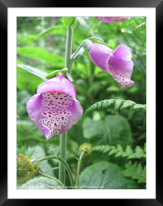 Foxglove I Framed Mounted Print by Jennifer Henderson