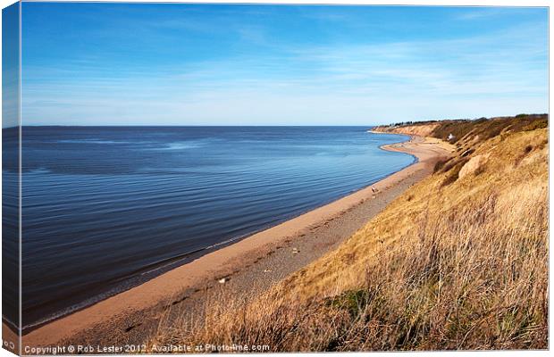 Dee-lightful , Dee-lovely. Canvas Print by Rob Lester