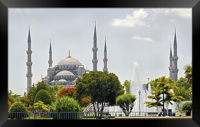 The Blue Mosque Istanbul Framed Print by Arfabita  