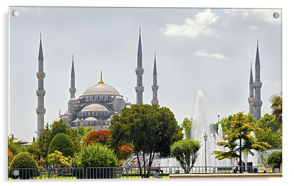 The Blue Mosque Istanbul Acrylic by Arfabita  