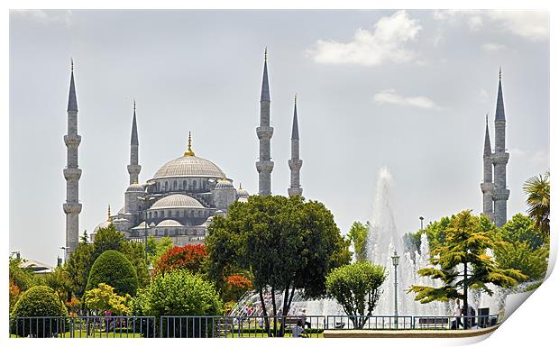 The Blue Mosque Istanbul Print by Arfabita  