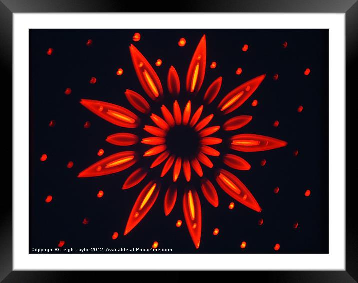 Neon Flower Framed Mounted Print by Leigh Taylor