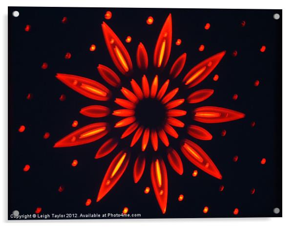 Neon Flower Acrylic by Leigh Taylor