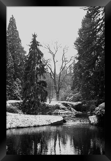 Winter in Pruhonicky Park Framed Print by Kerry Murray