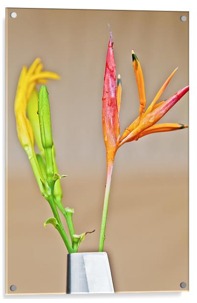 Bird in a Specimen Vase Acrylic by Arfabita  