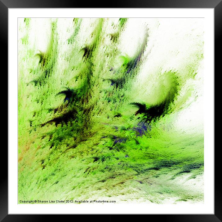 Fern Framed Mounted Print by Sharon Lisa Clarke