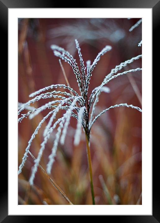 A touch of frost Framed Mounted Print by Kerry Murray