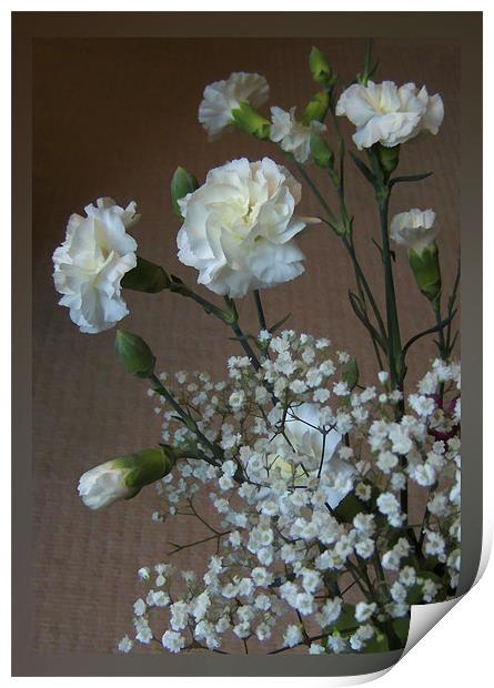 Sweet Scented Flowers Print by Debra Kelday