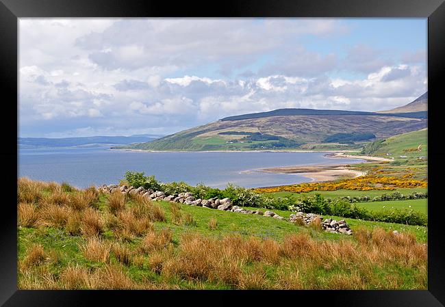 Isle of Arran Scotland Framed Print by Diana Mower