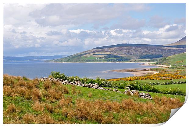 Isle of Arran Scotland Print by Diana Mower