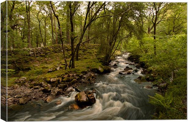 Stanley Ghyll Canvas Print by Roger Green