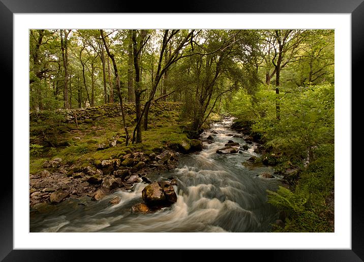Stanley Ghyll Framed Mounted Print by Roger Green