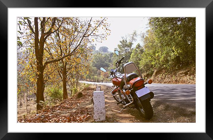 Bike Rest under Autmmn Leaves Framed Mounted Print by Arfabita  