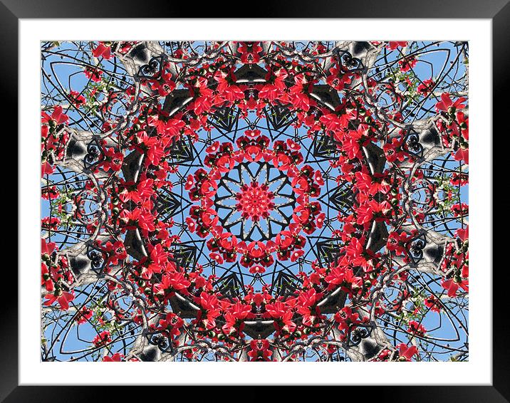 Kaleidoscope2 Framed Mounted Print by Susmita Mishra