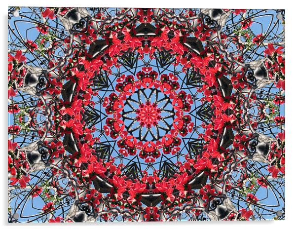 Kaleidoscope2 Acrylic by Susmita Mishra