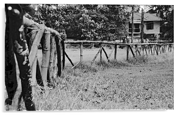 Bamboo fenced paddock farmhouse Acrylic by Arfabita  