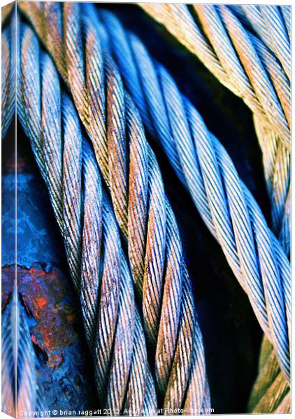 Cable Colour Canvas Print by Brian  Raggatt