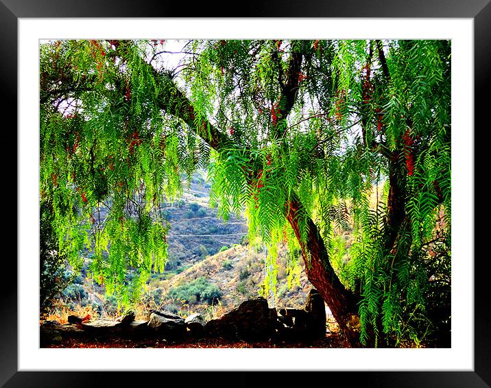 Arenas Mountains, Andalucia Framed Mounted Print by Fine art by Rina