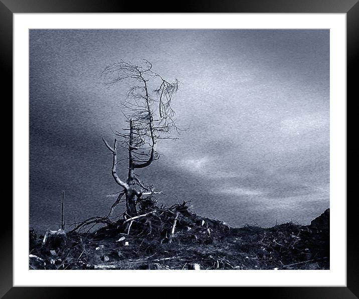 Desolation. Framed Mounted Print by David Worthington