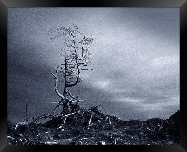 Desolation. Framed Print by David Worthington