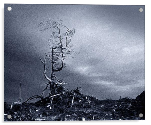 Desolation. Acrylic by David Worthington