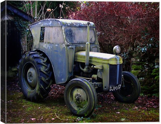 Disused tractor Canvas Print by David Worthington