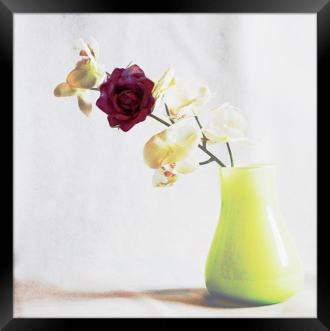Vase Framed Print by Loren Robbins