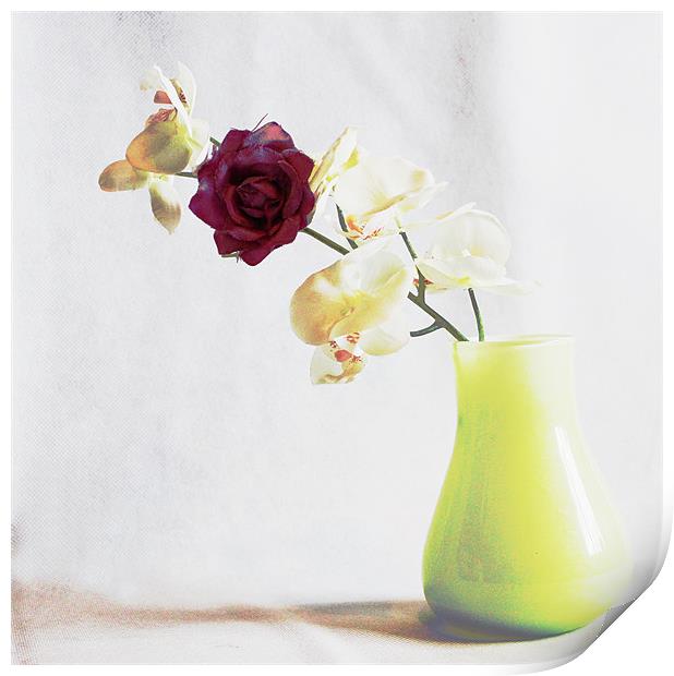Vase Print by Loren Robbins