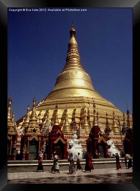 Schwedagon Pagoda Framed Print by Eva Kato