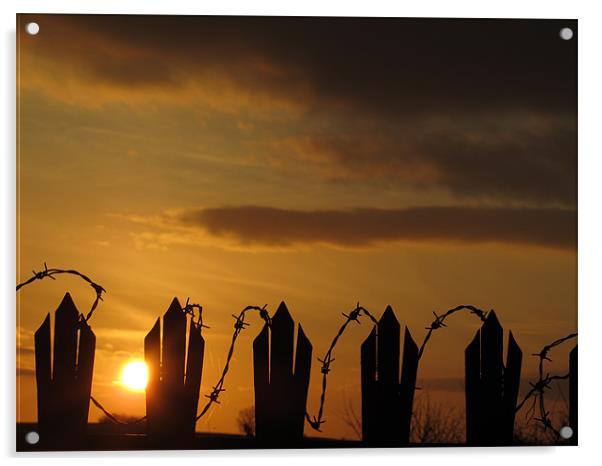barbed wire fence at sunset Acrylic by isaac ford