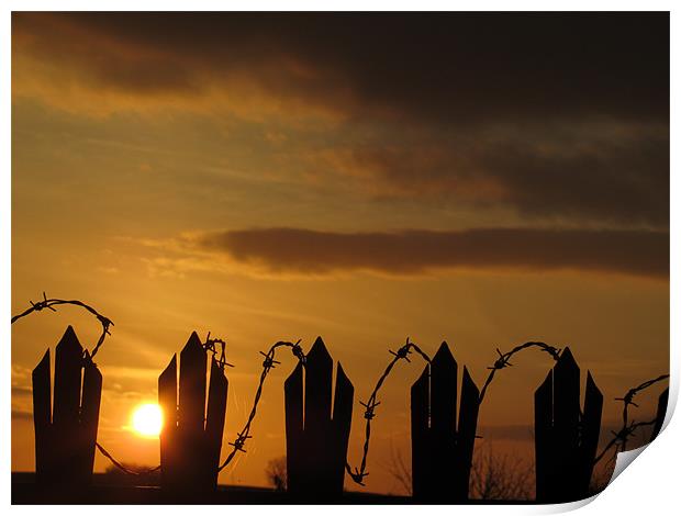 barbed wire fence at sunset Print by isaac ford