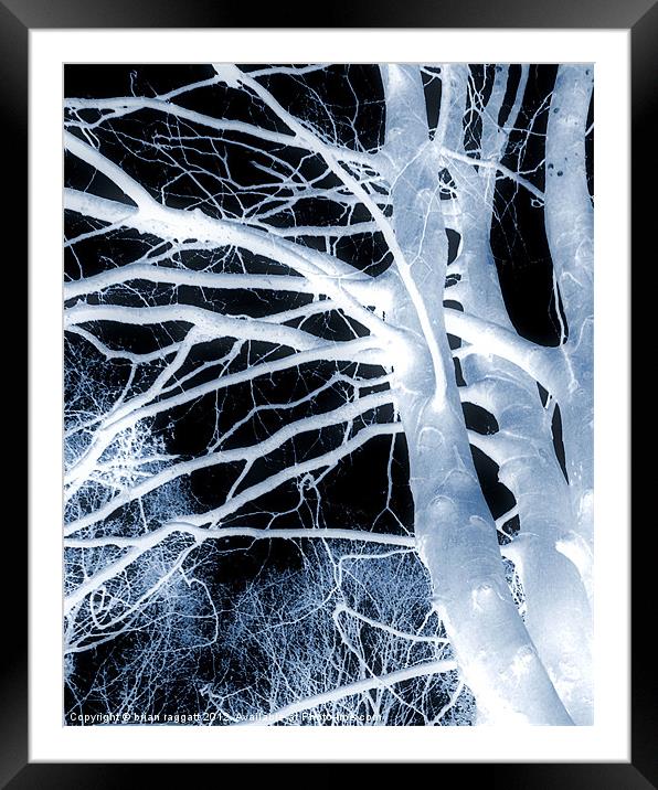 The Trees Whisper Framed Mounted Print by Brian  Raggatt