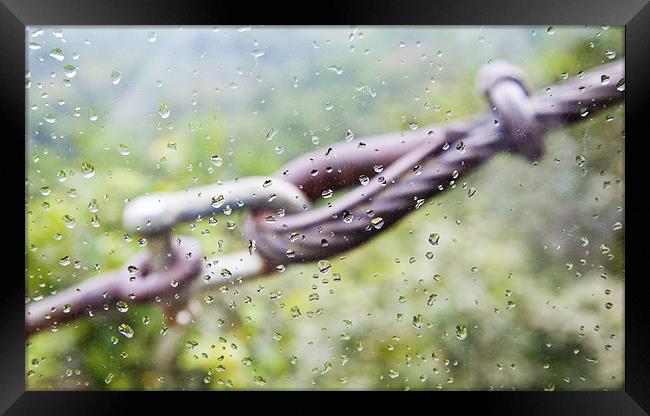 Cable tie through raindrops Framed Print by Arfabita  