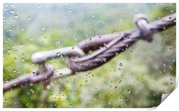 Cable tie through raindrops Print by Arfabita  