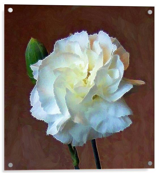 Carnation. Acrylic by Debra Kelday