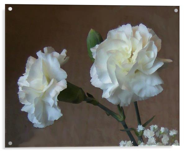 Carnations Acrylic by Debra Kelday