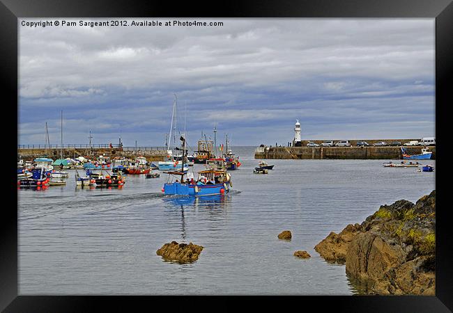 Boats in the Harbour Framed Print by Pam Sargeant