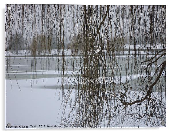 Winter Willow Acrylic by Leigh Taylor