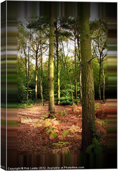 A Walk in Gaussian Wood Canvas Print by Rob Lester