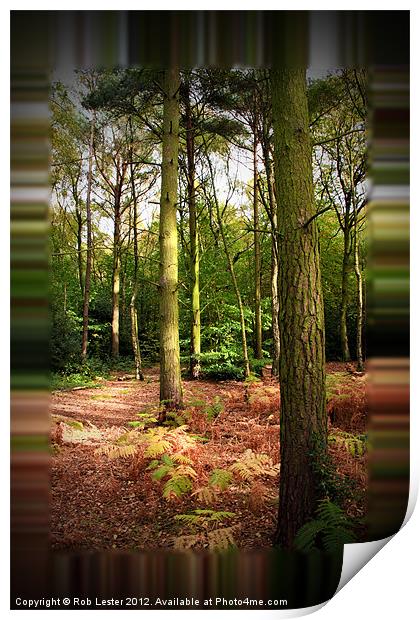 A Walk in Gaussian Wood Print by Rob Lester